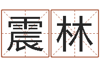 刘震林瓷都热线取名算命-公司起名在线测试