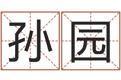 孙园算命测褂-专业八字算命