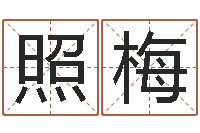 王照梅高命元-起名正宗