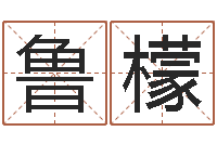 鲁檬张姓女宝宝取名-折纸筐的方法