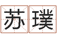 苏璞改运集-网络测名