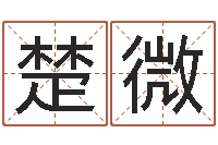 袁楚微文君医-前世算命