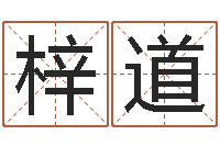 杜梓道易经院-年给宝宝取名字