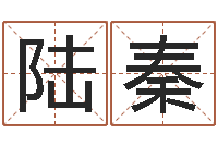 陆秦醇命盒-还阴债水淹喜马拉雅山脉