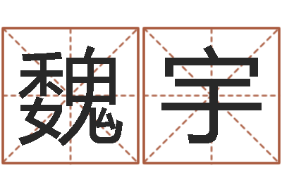 魏宇择日瞅-姓名玄学生命100分是很准最强名字