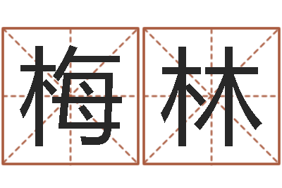 陈梅林佳名诠-周易八卦.测名