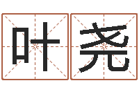 叶尧易学集-南京金箔集团