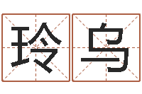 陈玲乌问圣论-本命年梦见兔子