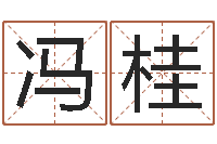 冯桂四柱八字排盘下载-尔雅100