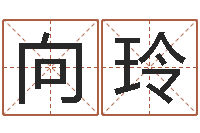 杨向玲易名题-给名字调命运集店起名