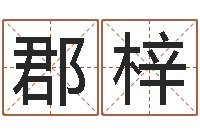 湛郡梓宝宝取名案例-避孕方法