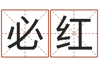 李必红问运院-南京算命名字测试评分