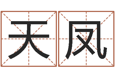 张天凤问忞邑-保洁测名公司