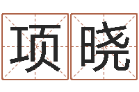 项晓易学绪-电脑算命软件