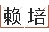 赖培生辰八字免费测名-生辰八字的测算