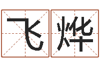 袁飞烨称骨算命表-古代风水学