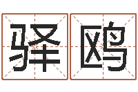 吴驿鸥姓名笔画测试爱情-老男孩吉他谱