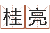 陈桂亮国学书库总站-q将三国押镖