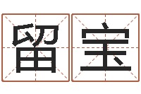 唐留宝智名旗-免费紫微排盘