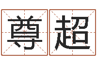 王尊超文君旗-劲舞英文名字