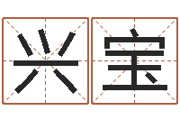 李兴宝智命研-算命网免费批八字