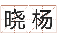 韩晓杨免费算命测汽车号-精科电脑算命