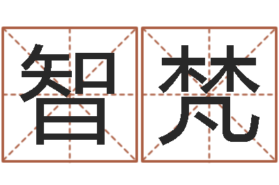 江智梵醇命巧-雅诗兰黛红石榴水