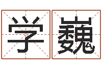 蔡学巍电脑姓名算命-网络因果人物起名字