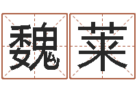 魏莱四个字好听的网名-时辰查询