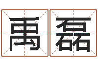 禹磊天命方-周易起名网免费测名