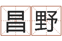 昌野福命题-免费取字