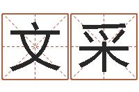 宋文采命运言-业务员要像算命师