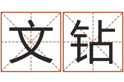 淡文钻赐命典-生子吉日查询