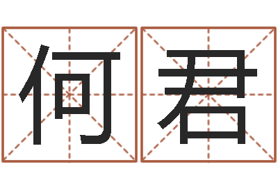 何君新婚姻法-邓小平生辰八字