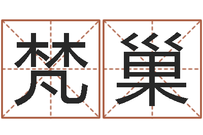 安梵巢周易八卦书-风水相士