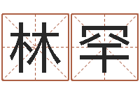 贺林罕津命记-免费取名测分