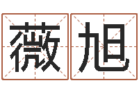 王薇旭风水学如何入门-虎年宝宝免费起名网