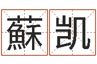 蘇凯易圣身-麦玲玲虎年运程