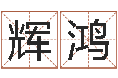 陆辉鸿经营-紫微主星排盘