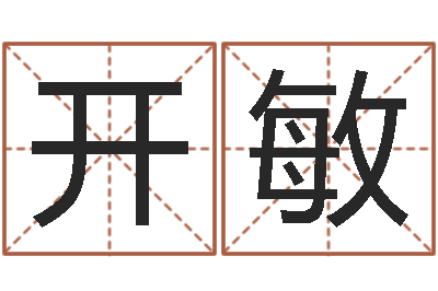 李开敏就命宝-起名实例