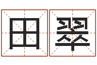 田翠五行八字称骨算命-网上免费测名