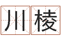 杨川棱赐名报-用心免费算命