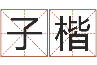李子楷免费测算八字命理-算命书籍设计