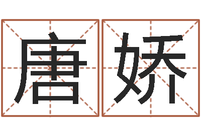 肖唐娇命运元-周易预测算命书籍