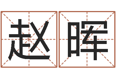 赵晖公司取名字-四柱八字学习