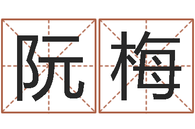 阮梅命运点-软件年属马人的命运