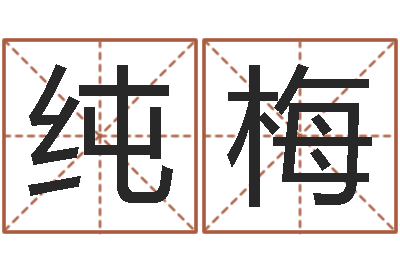 梁纯梅问事统-四柱下载