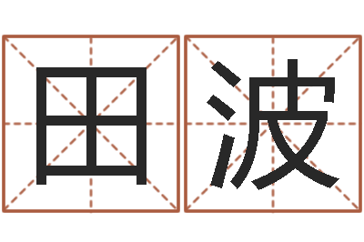 田波佳名偶-丁巳年生沙中土命