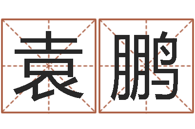 袁鹏郝姓男孩起名-周易研究会会长