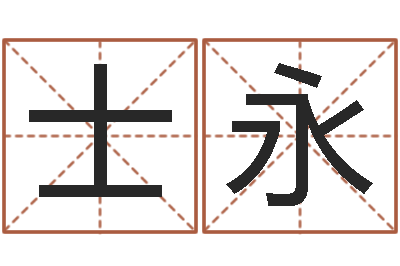 任士永开运云-软件公司名字